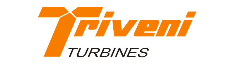 Triveni turbines Africa pty ltd